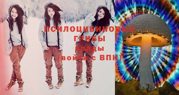2c-b Волосово