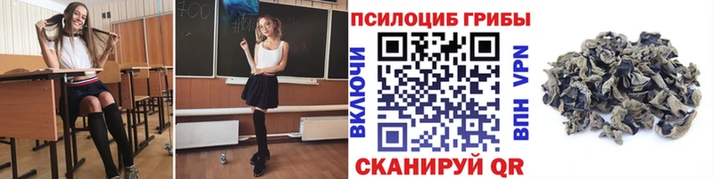 мориарти клад  Монино  Псилоцибиновые грибы прущие грибы 
